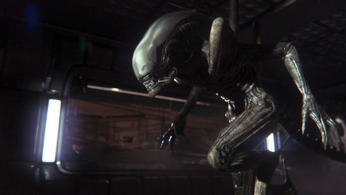 Xenomorph